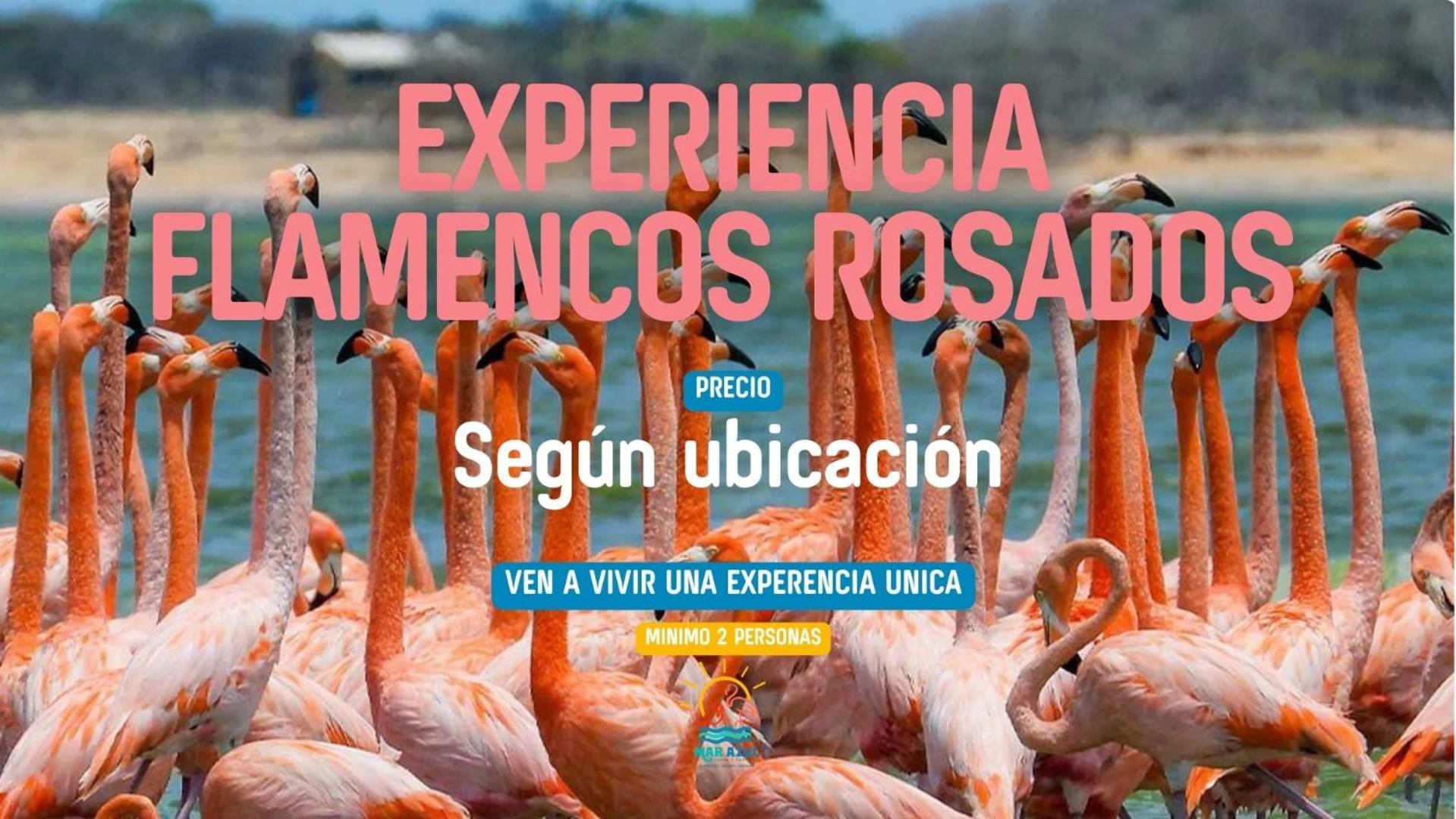 Villa Mar Azul - Playa Y Turismo Camarones Esterno foto